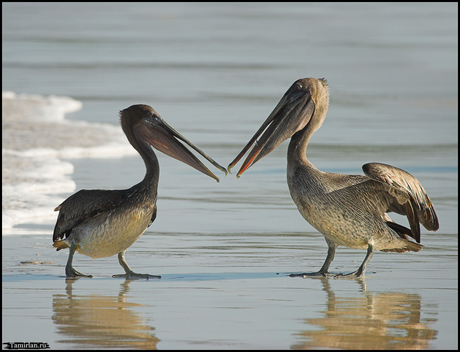 Fishermen