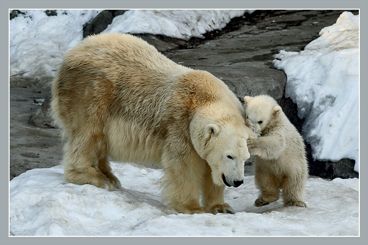 Telling mom a secret