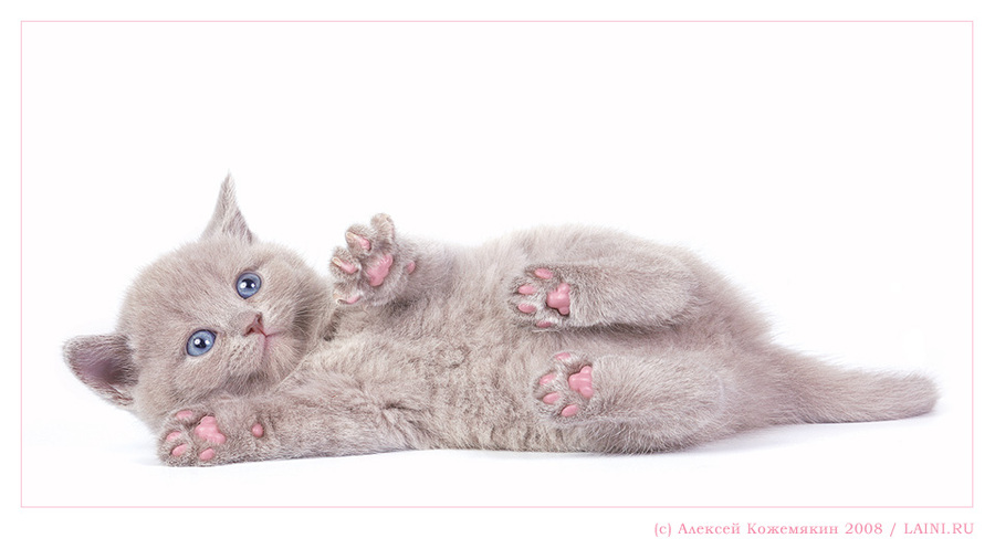 Pink feet