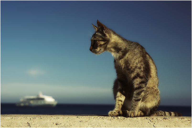 Watching the ships go by