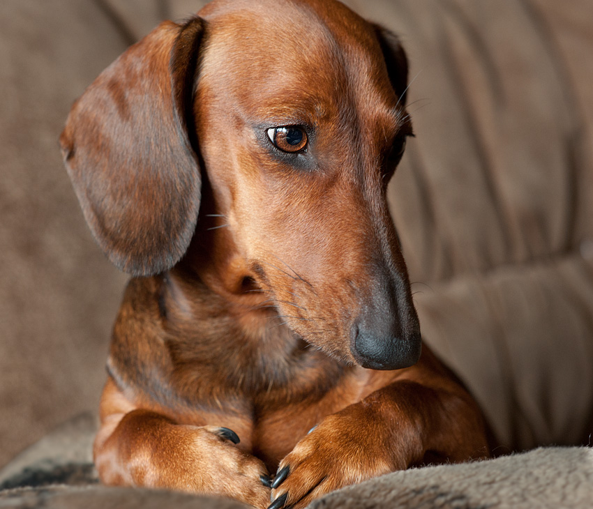 Thoughtful lady