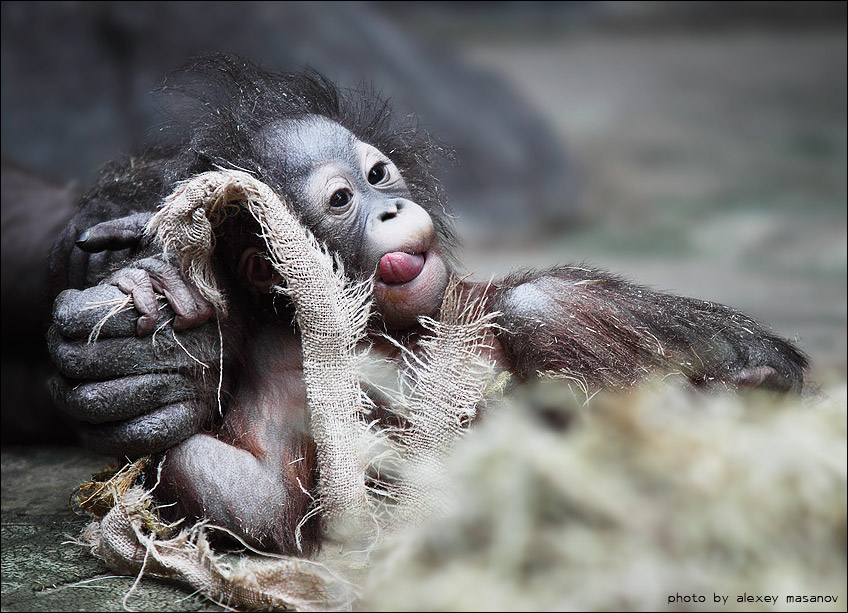 Holding mom