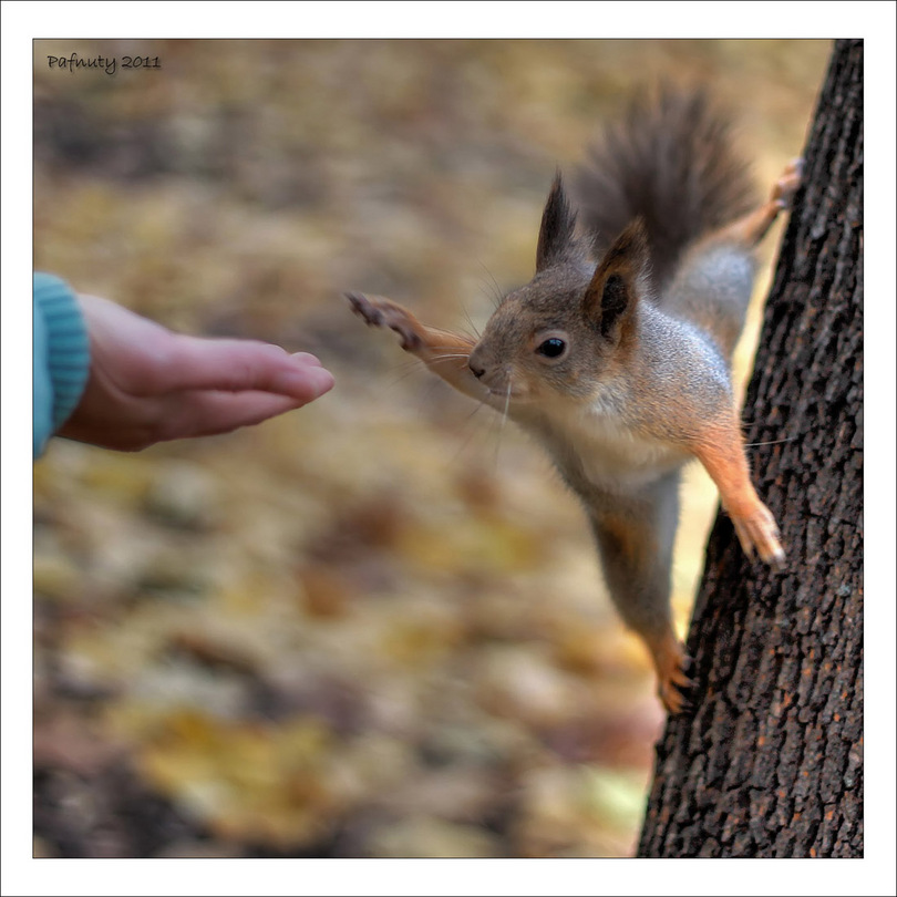 High five!