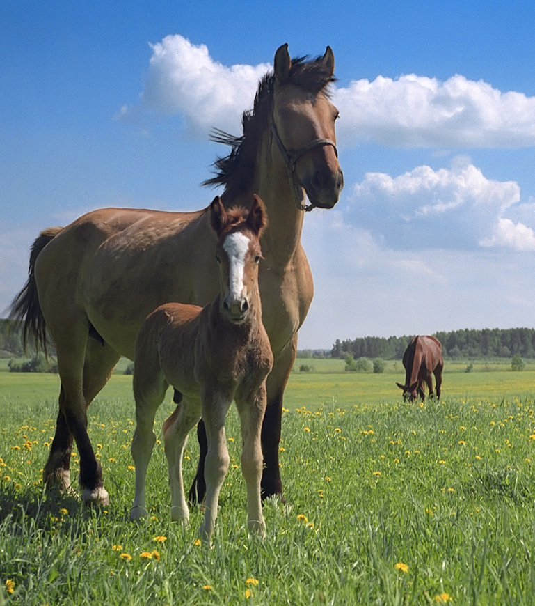 Mom and baby