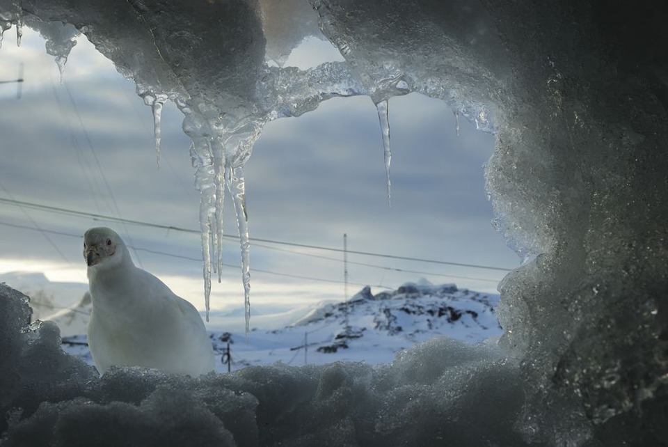 Ice cave