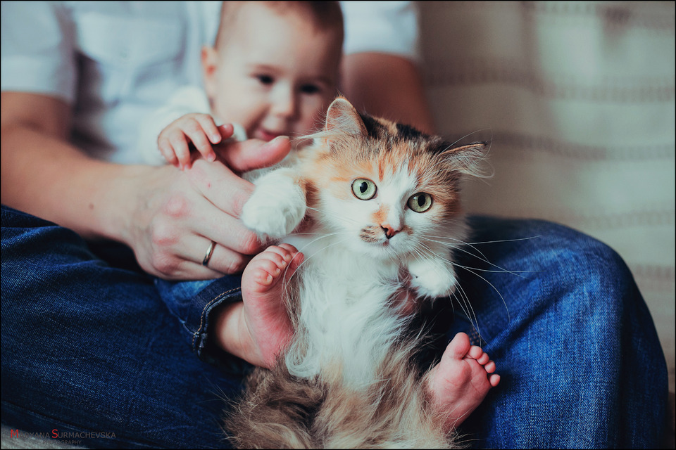 Father, child and cat together