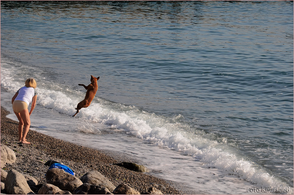 Woman and dog play at the seaside