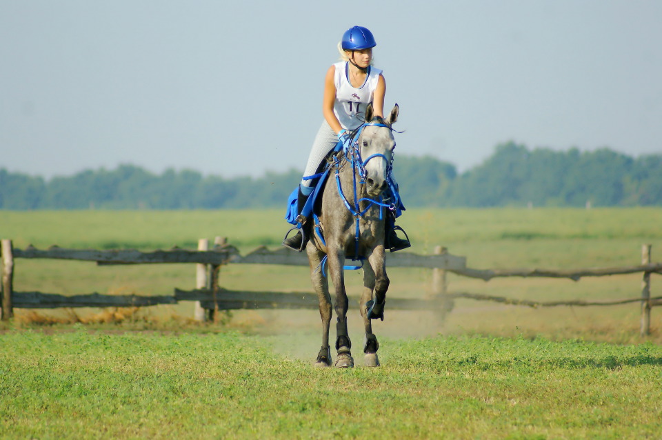 Horsewoman